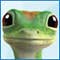 GEICO