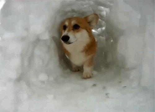 You snow a few things.