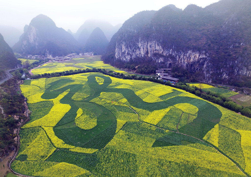 An aerial view of the Chinese word for "dragon" is displayed among the flowering of plants in a 80,000-square-meter rapeseed field in Anshun, Guizhou Province of China.