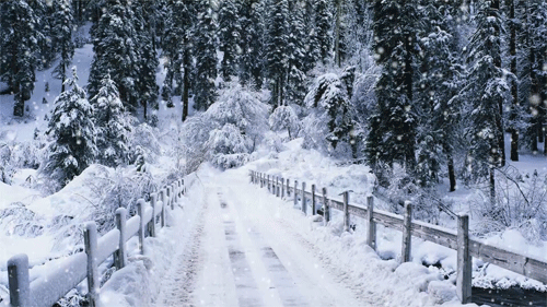 Winter