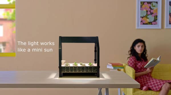Ikea S New Indoor Gardening Kit Will Bring Hydroponics To The Masses