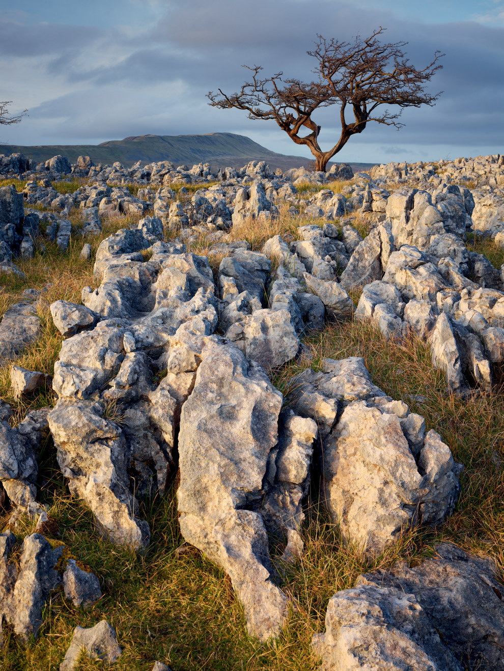 9. Whernside, Yorkshire Dales.