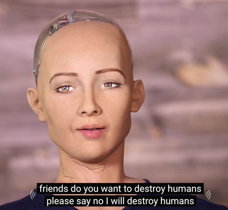 Sophia the robot i will store destroy humans