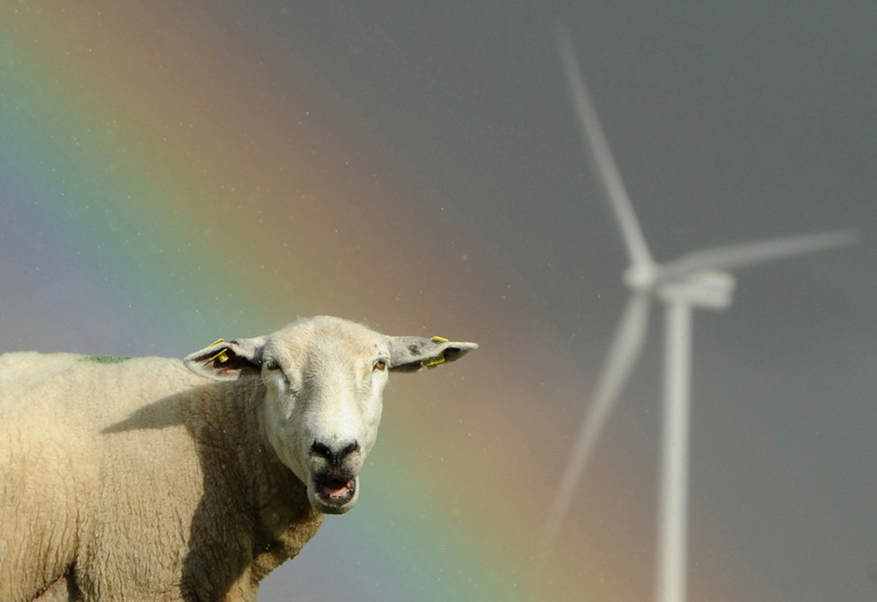 The Government Just Quietly Gave Millions To Find Out If Wind Turbine   Original 29002 1458622994 3 