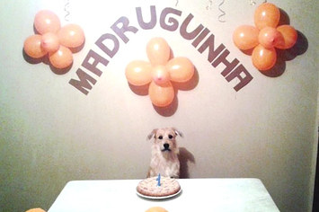 O aniversário do Madruguinha é o álbum de fotos que você precisa ver hoje