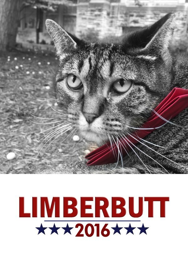 Presidential candidate Limberbutt McCubbins.