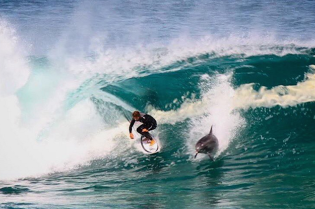 Pro surfer Soli Bailey shared a wave with a dolphin off Australia this week because it's the ocean and dolphins own it.