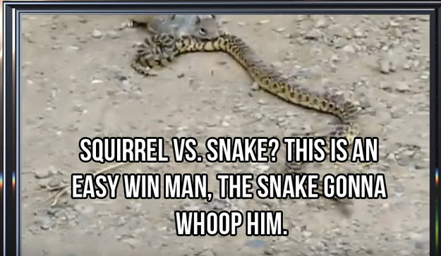 The video starts with Snoop thinking the reptile was going to pull out a victory...