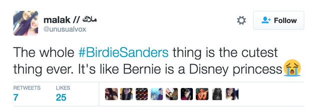 The hashtag #BirdieSanders began trending and the comparisons to a Disney princess began rolling in...