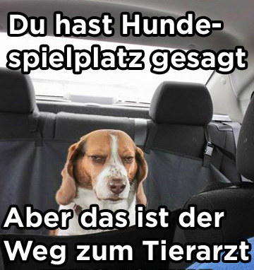 "Das werde ich so schnell nicht vergessen."