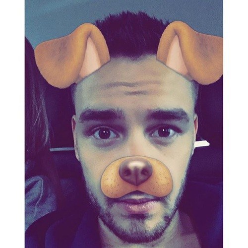Dog Filter