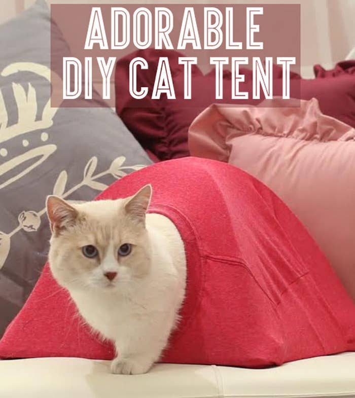 This Is The Cutest Damn Cat Tent Of All Time That You Can DIY