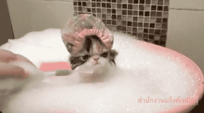kitty shower cap