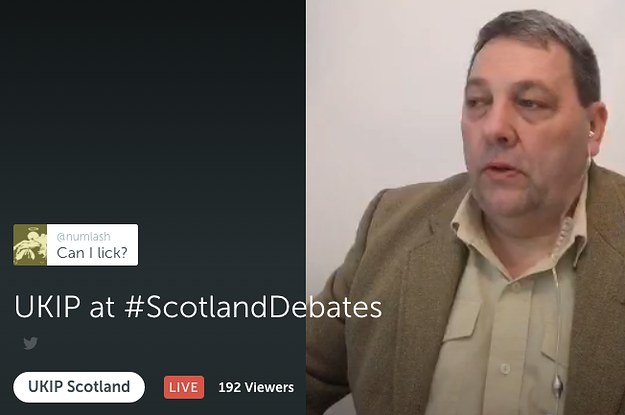 This UKIP MEP Was Mercilessly Trolled On Periscope During The Scottish ...