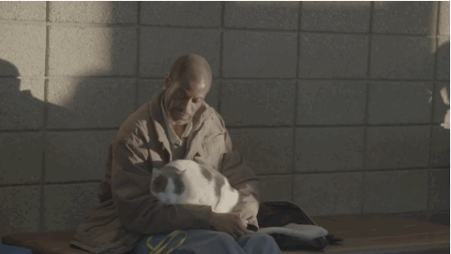 The National Coalition for the Homeless says there are 3.5 million people experiencing homelessness every year, and about 10% of them are pet owners.