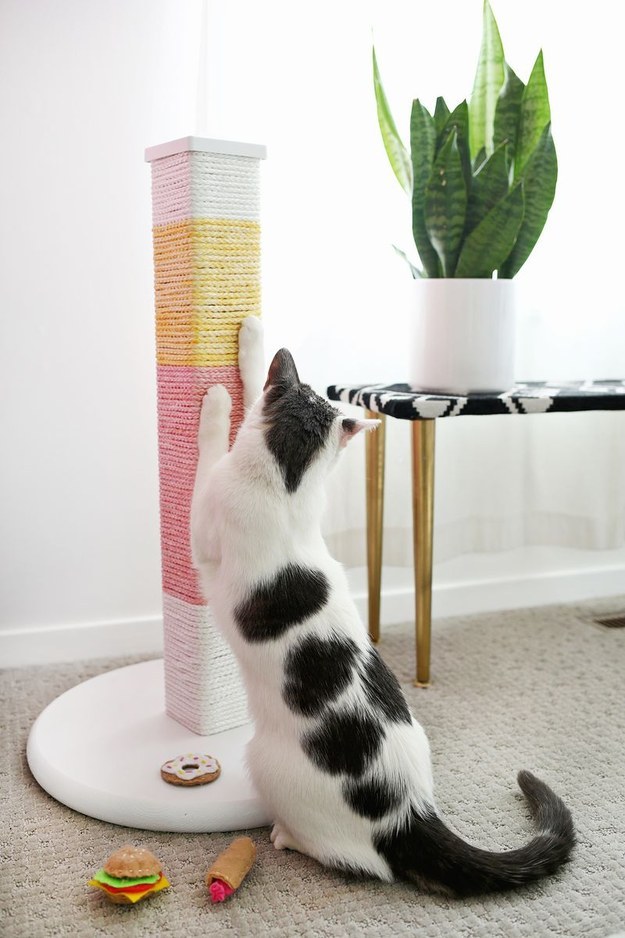 Spoil your feline bestie with a colorblock scratching post: