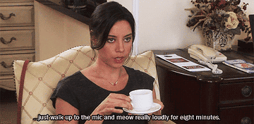 23 Of April Ludgate S Most Iconic Lines On Parks And Recreation