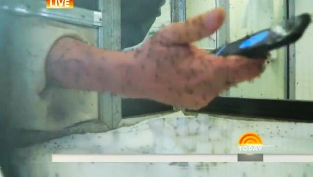 Vários experimentos e matérias (incluindo uma do BuzzFeed) desmentem a eficácia de repelentes sonoros de mosquitos, via aplicativo de celulares.
