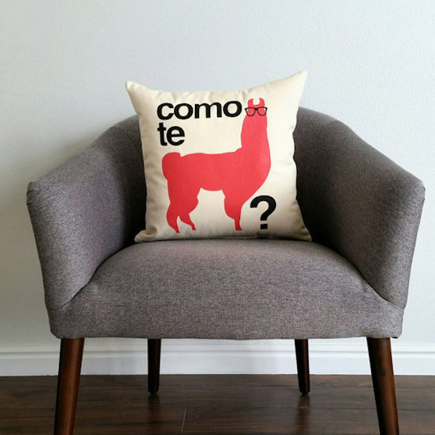 This clever throw pillow.