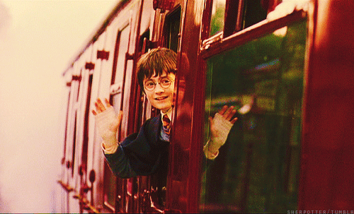 "Honestly any Harry Potter spin-off would work for me. The world JK created is so rich and so magical you could do anything and I would watch it! A buddy cop show about Aurors? Yes! A workplace comedy similar to Parks and Recreation or The Office but focusing on the Department of Muggle Artifacts with Arthur Weasley as the boss? Hell yeah. An anthology show in Twilight Zone-like format but with The Tales of Beedle the Bard? I am so down for literally anything taking place in the Wizarding world." – jerrudc