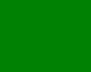 You're wearing green underwear