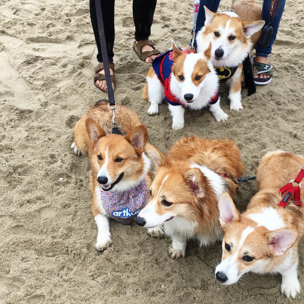 Whole squads rolled up together.