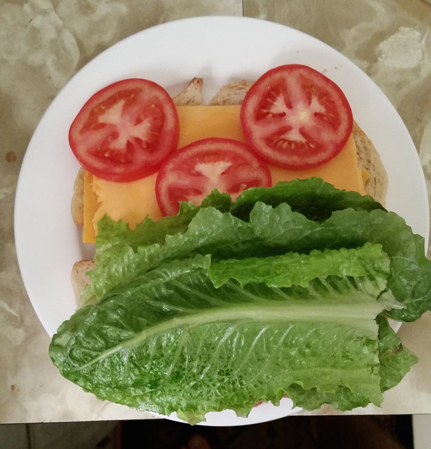 And a simple, sad sandwich is a pretty solid dinner by your standards.