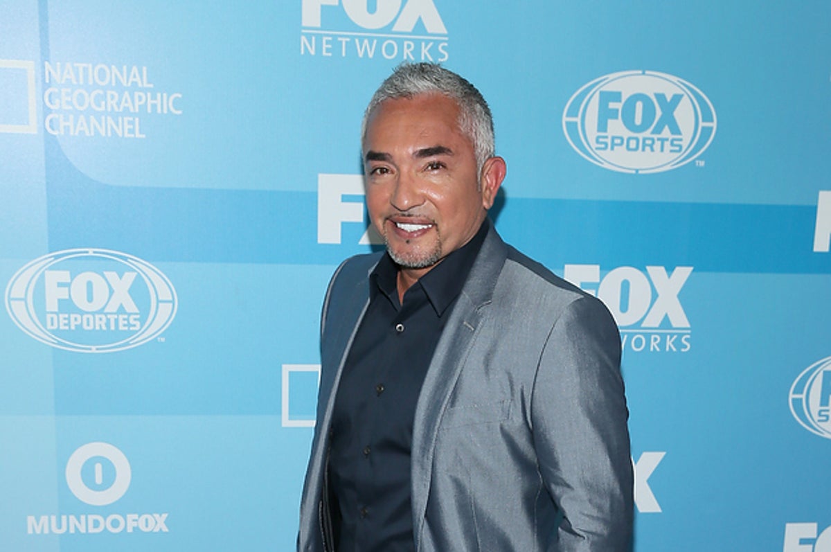 How Much Does Cesar The Dog Whisperer Charge