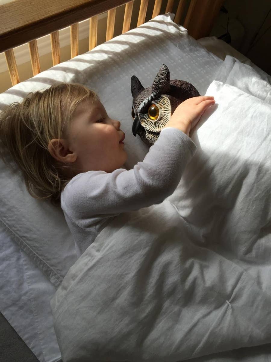 This Toddler Became Obsessed With A Terrifying Lawn Owl And Now  