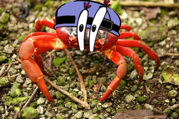 Mr. Krabs