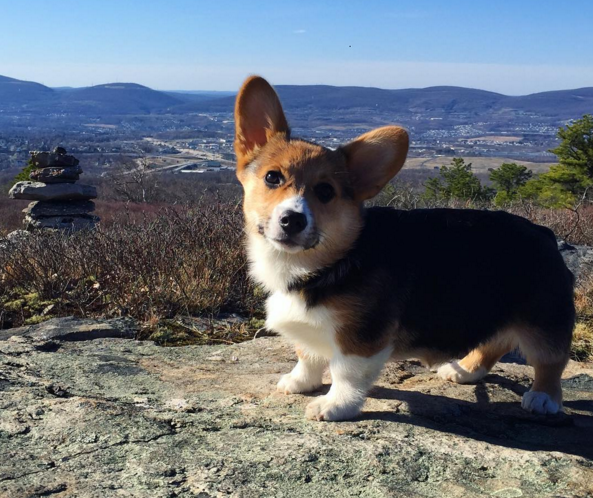 For starters, she's pretty much a professional hiker.