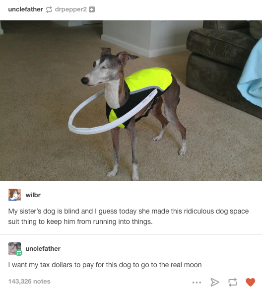 Astrodog: