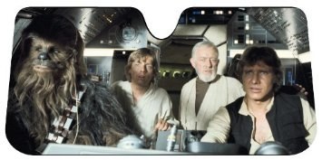 Most promising review: "My car is The Millennium Falcon, so it would only be fitting to have this to shield my precious cargo from our two suns." —elyssa haeussler