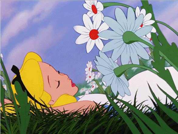 Résultat de recherche d'images pour "dream"