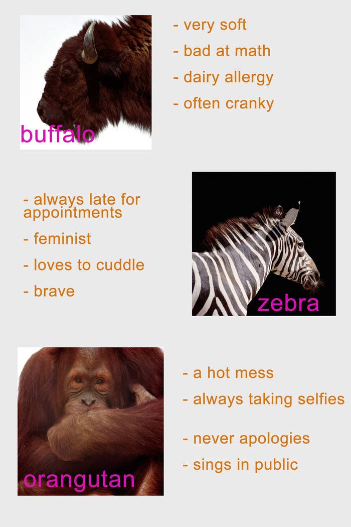 Which Wild Animal Are You?