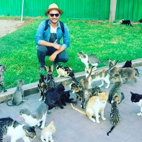 Hay una plaza en Perú llena de cientos de gatos sueltos y vas a querer