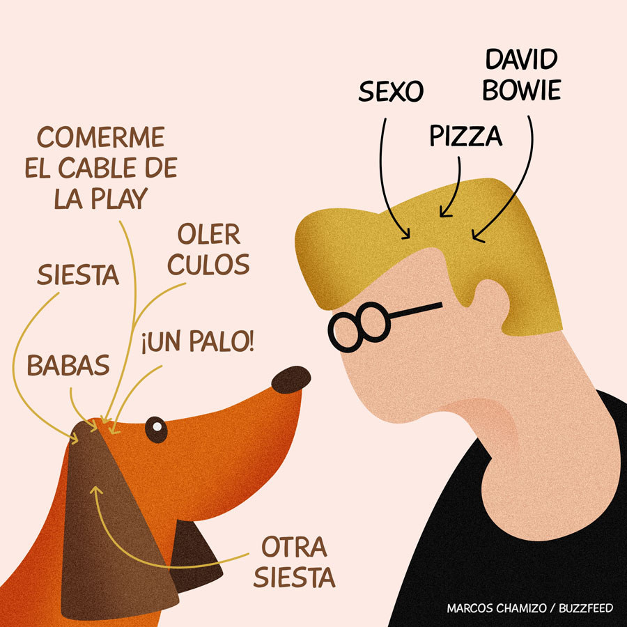 Por su cabeza pasan muchas más cosas de las que crees.