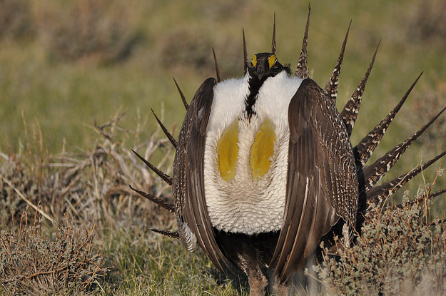 Feds Signal They're Ready To Rumble Over Western Land