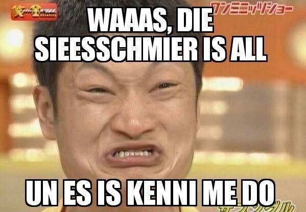 18 Saulustige Memes Die Nur Pfalzer Raffen