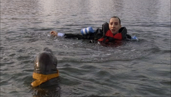 Even when he had his hand bitten off by a loose seal, he managed to see the bright side.“Actually, I’m relieved. I don’t have to go to Army because the seal with the bow tie attacked me. I feel like I’ve lost three pounds.”