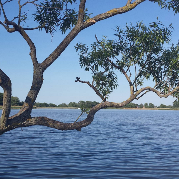 Am Beetzsee findest Du süße kleine Seehotels, Campingplätze und alles was das Herz begehrt. Auf dem See selbst kannst Du alle möglichen Wassersportarten machen. Oder einfach nur chillen. Anfahrt: Vom Brandenburger Hauptbahnhof nimmst Du den Bus 579 nach Radewege. Von dort läufst Du nur ein paar Meter und schon bist Du am See.