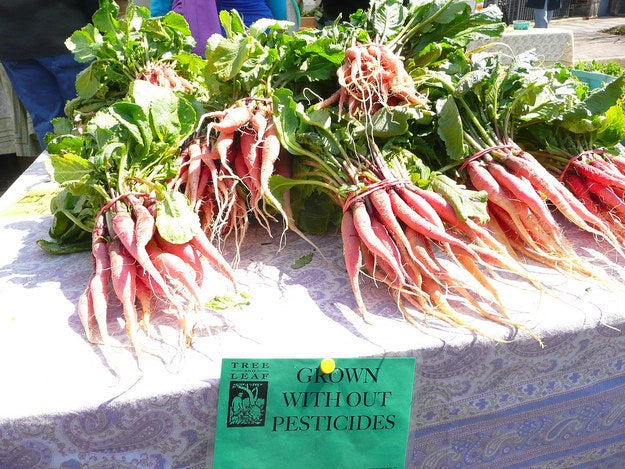 You love visiting food markets.