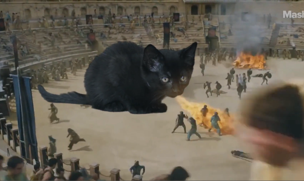 And a cat version of Drogon, just burning those masked men to the ground.
