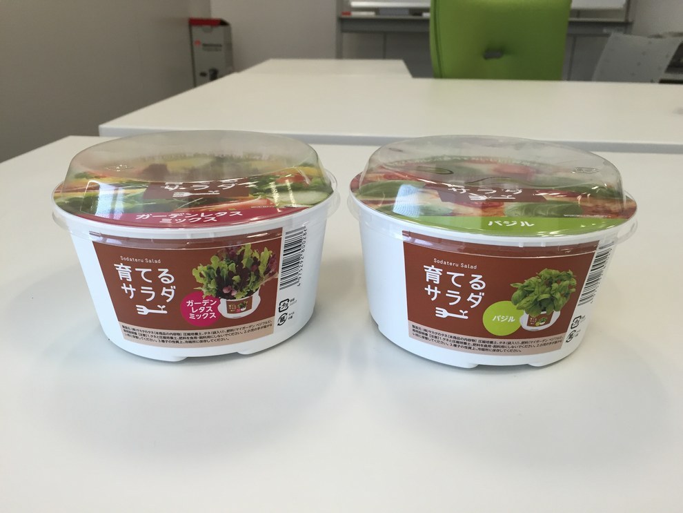 ファミマで栽培キット 育てるサラダ を買ったら割り箸がついてきた 意外と良かった