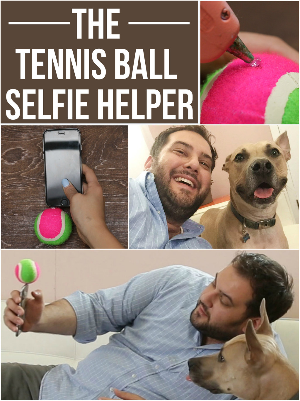 dog selfie ball
