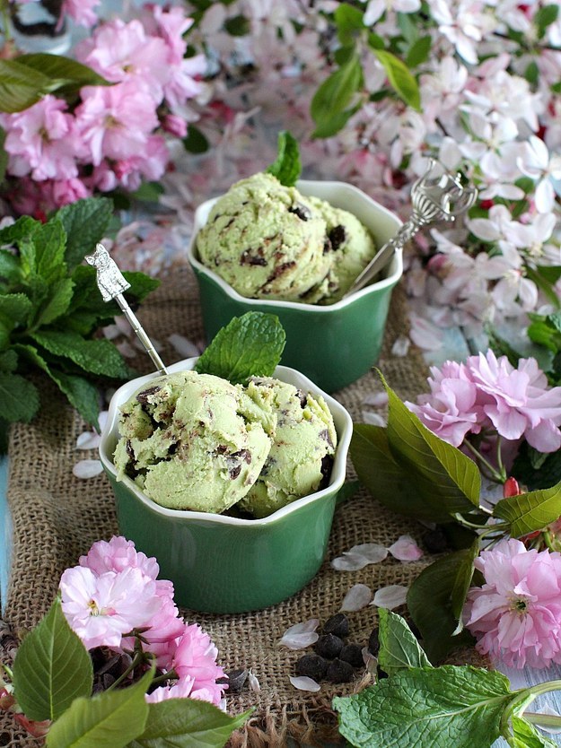 Vegan Mint Chocolate Chip Avocado Ice Cream