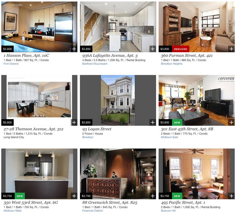 New York City Renters Are Finding New, Creative Ways to Search for the  Perfect Apartment