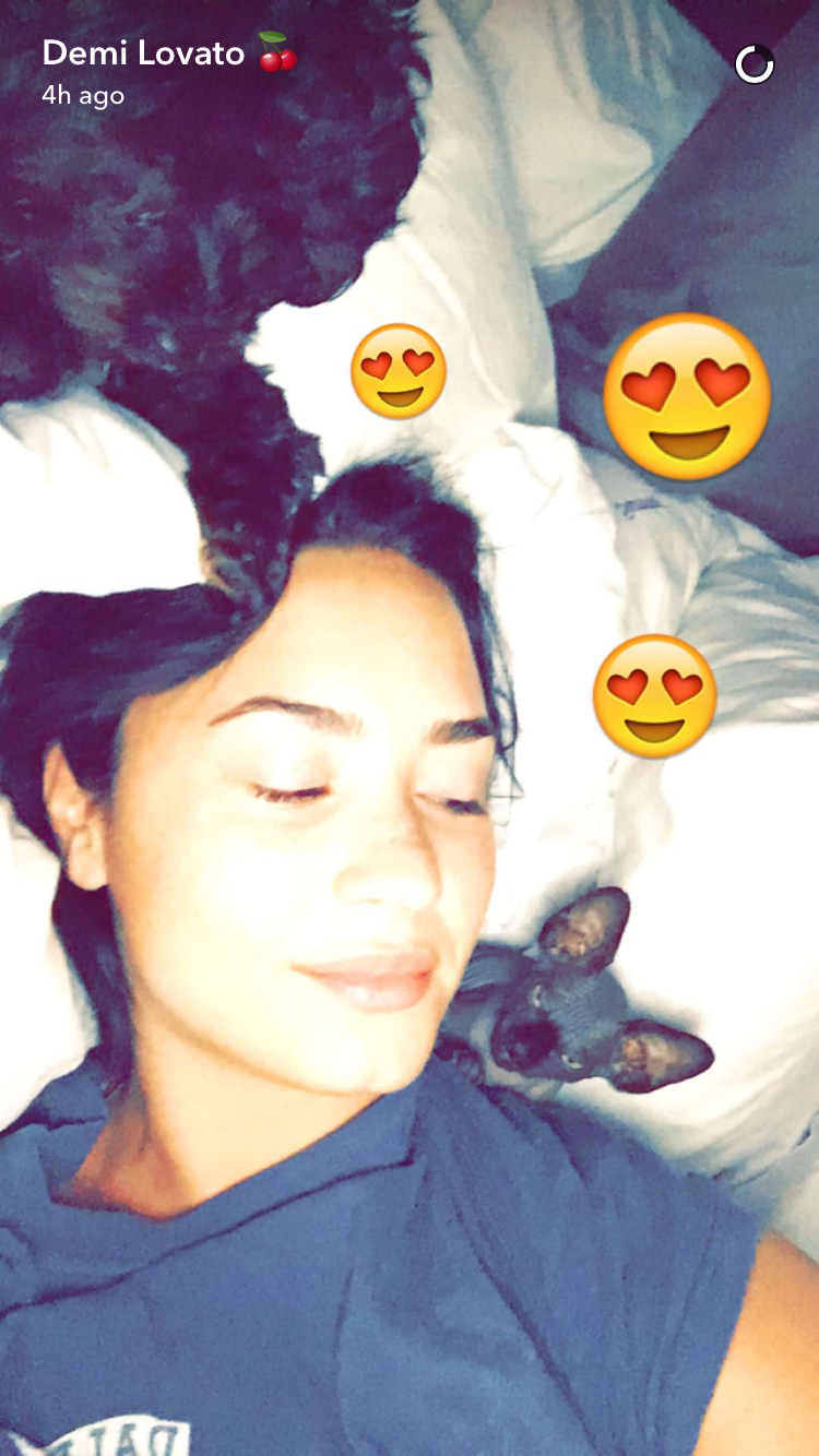 Demi Lovato Got A New Cat And Pretty Sure It's Out To Get Her