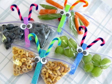 The New Way to Pack Travel Snacks — CITRITION, LLC