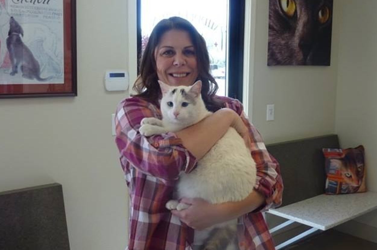 A Woman Has Been Reunited With Her Cat 6 Months After It Went Missing ...